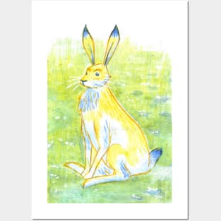 Technicolour wildlife - Hare Posters and Art